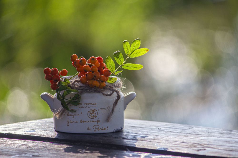 Photograph by Александра Шайдурова