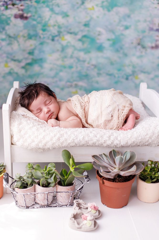 Фотография автора Summerlin