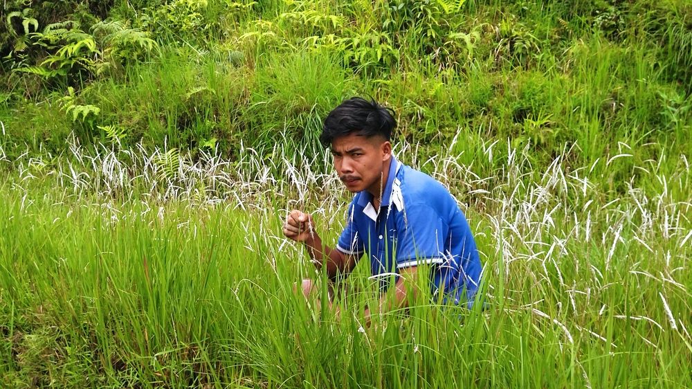 Фотография автора Raju Bhlon