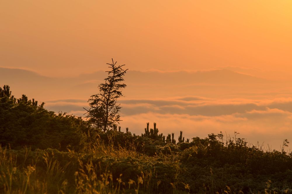 Фотография автора Андрій Лучишин