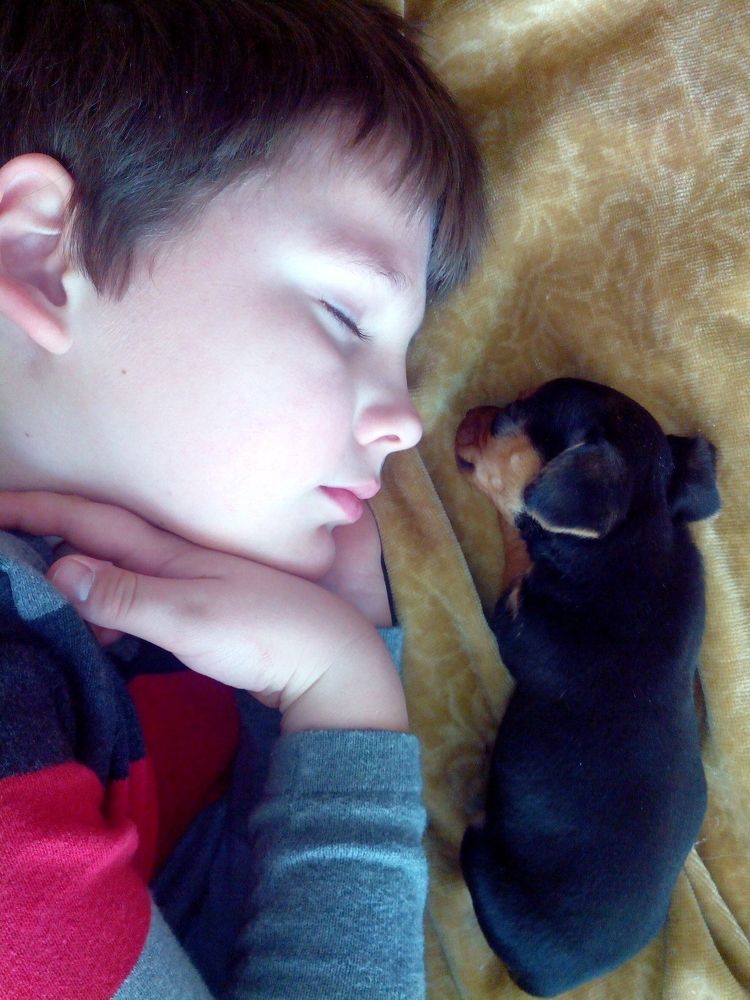 Photograph by Марина Ватанская