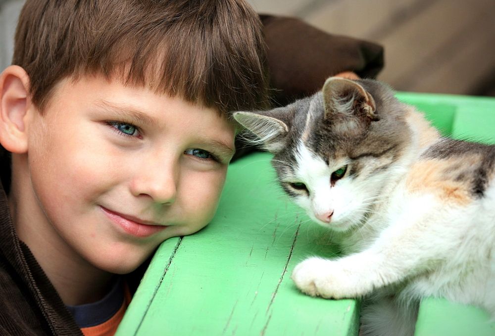 Photograph by Марина Ватанская