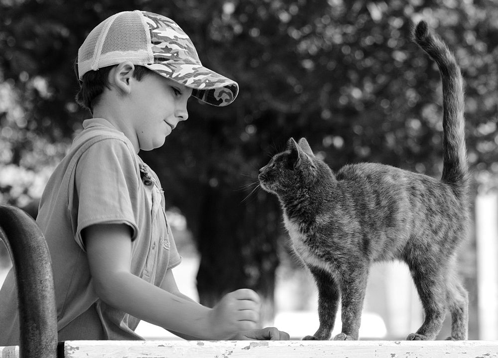 Photograph by Марина Ватанская