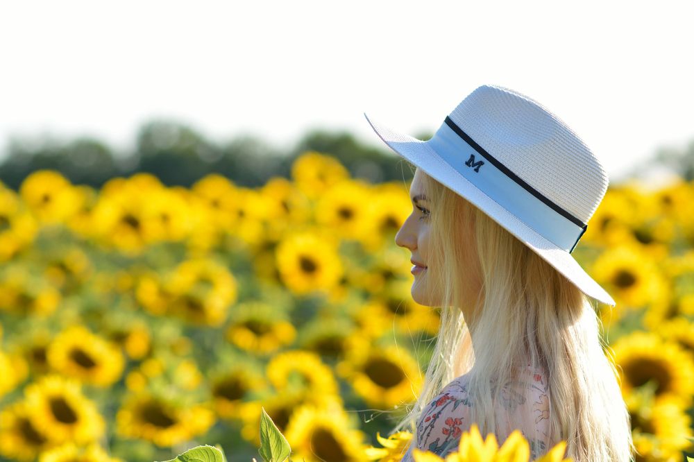 Фотография автора Алексей Воронкин