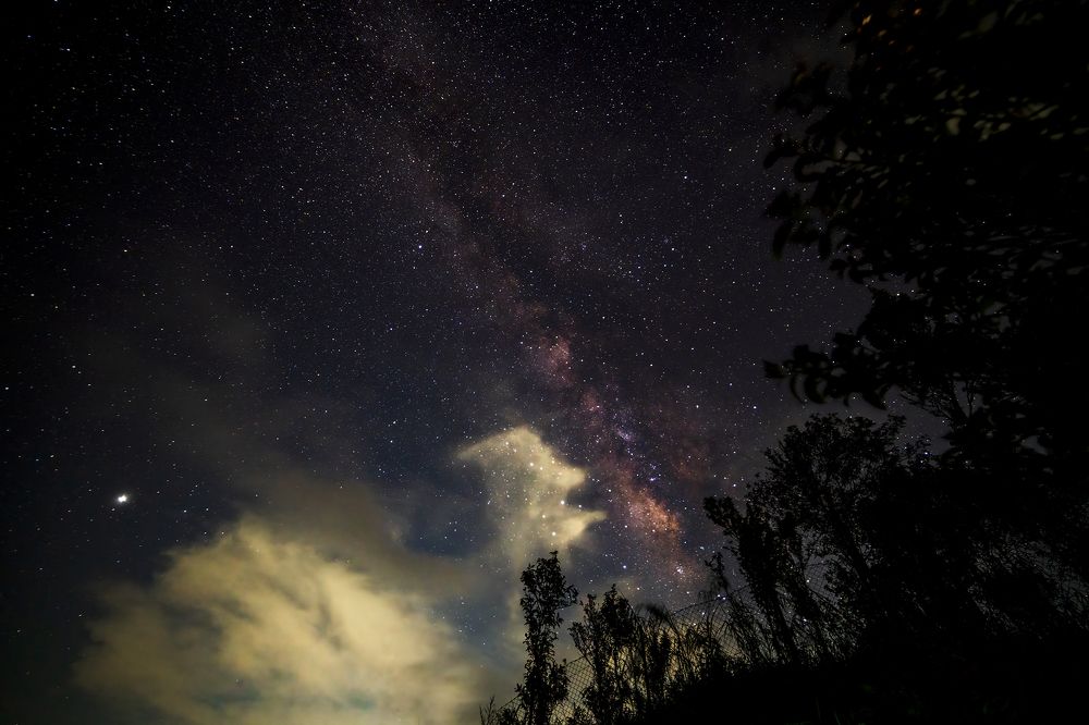 Photograph by Samir Sachdeva