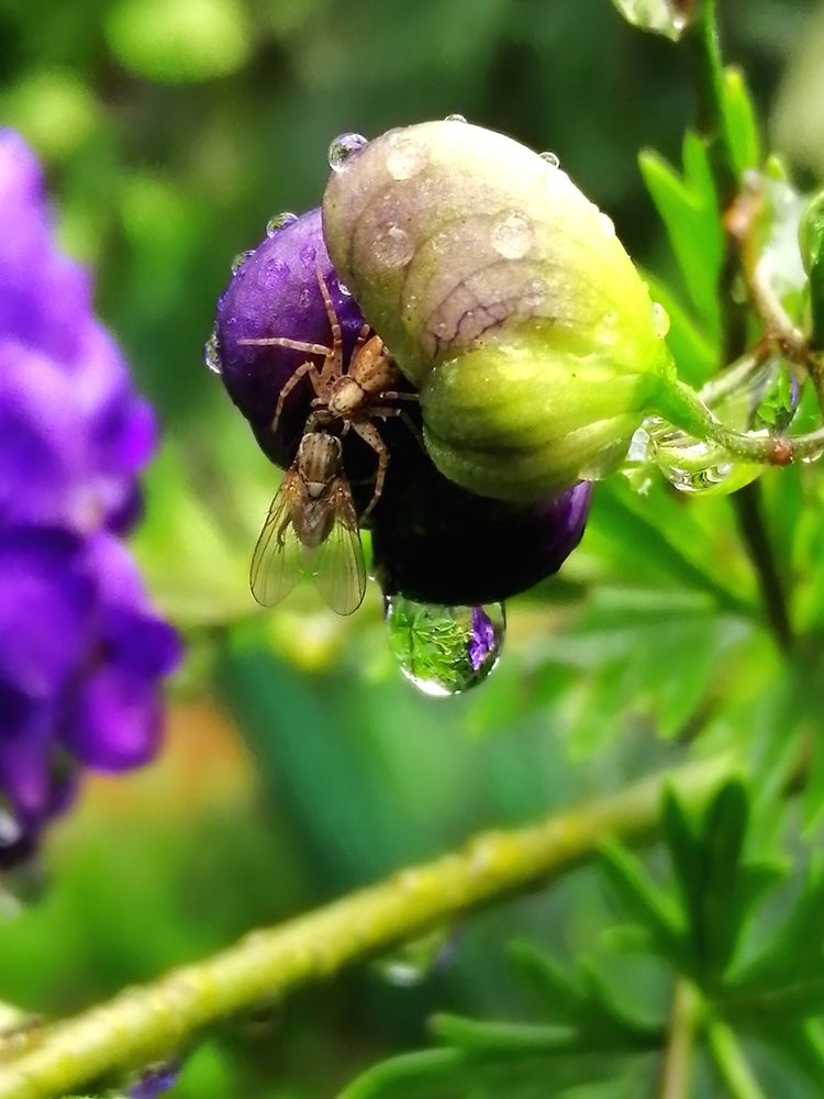Photograph by Светлана Веселовская