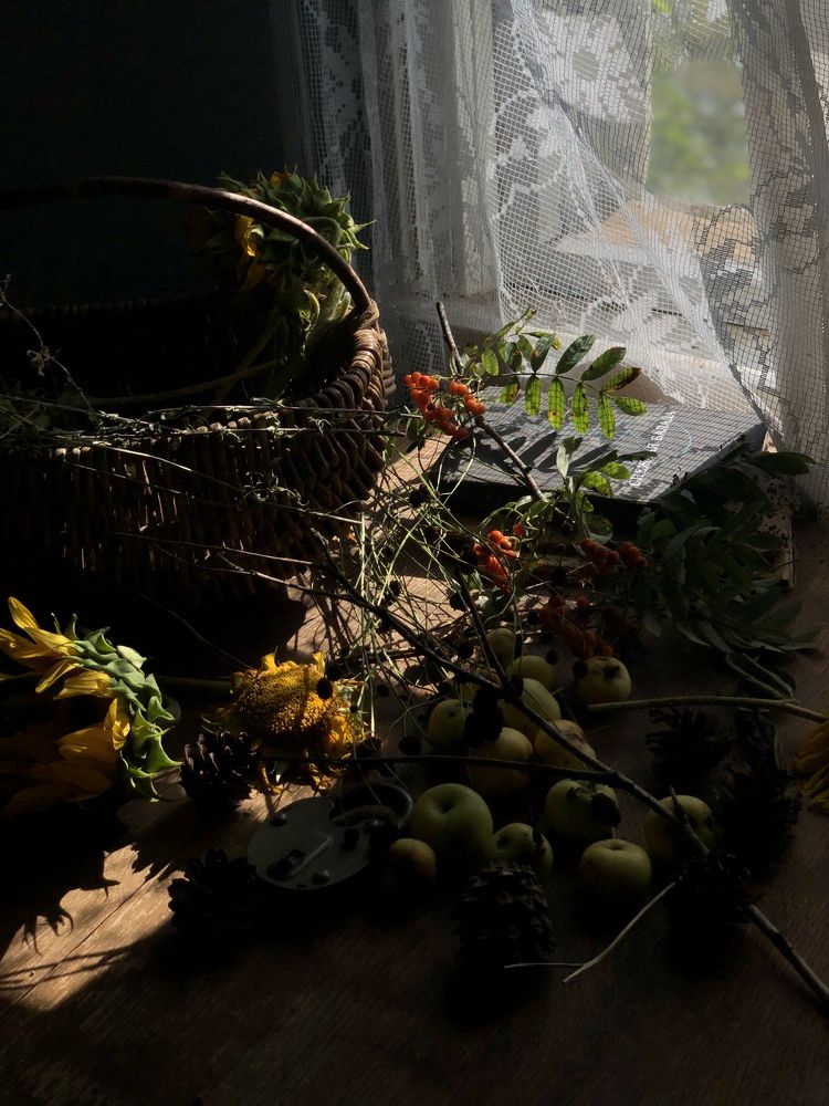 Фотография автора Наталья Васько -Черданцева