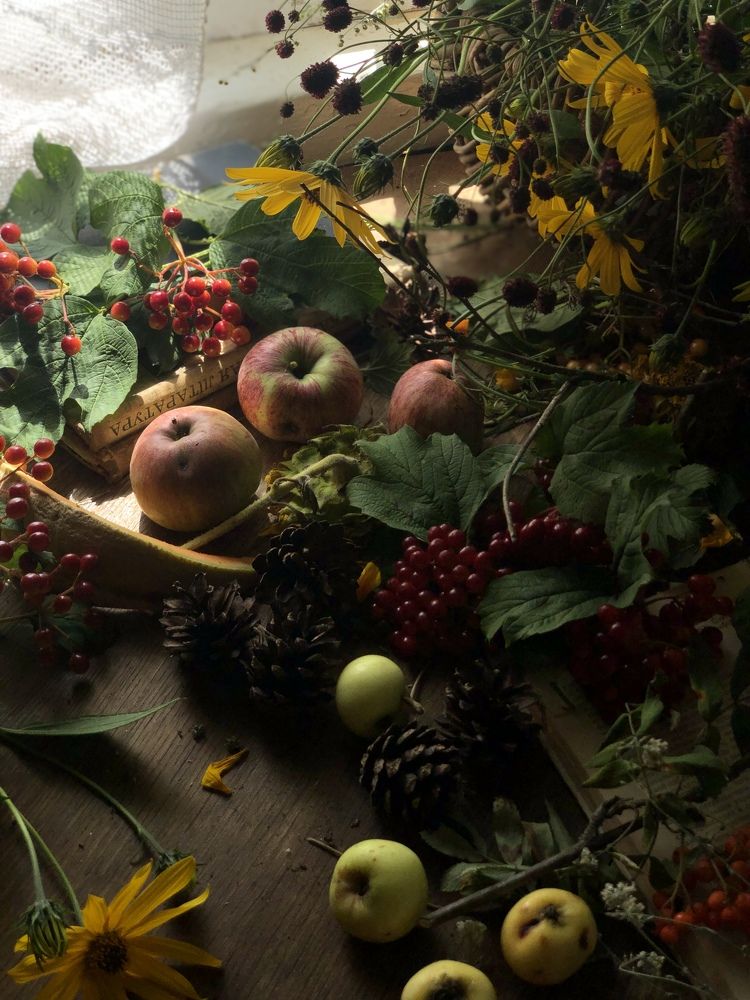 Фотография автора Наталья Васько -Черданцева