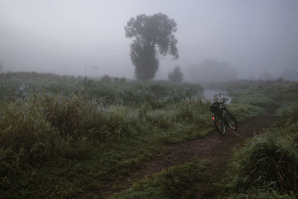 Photo #6389230