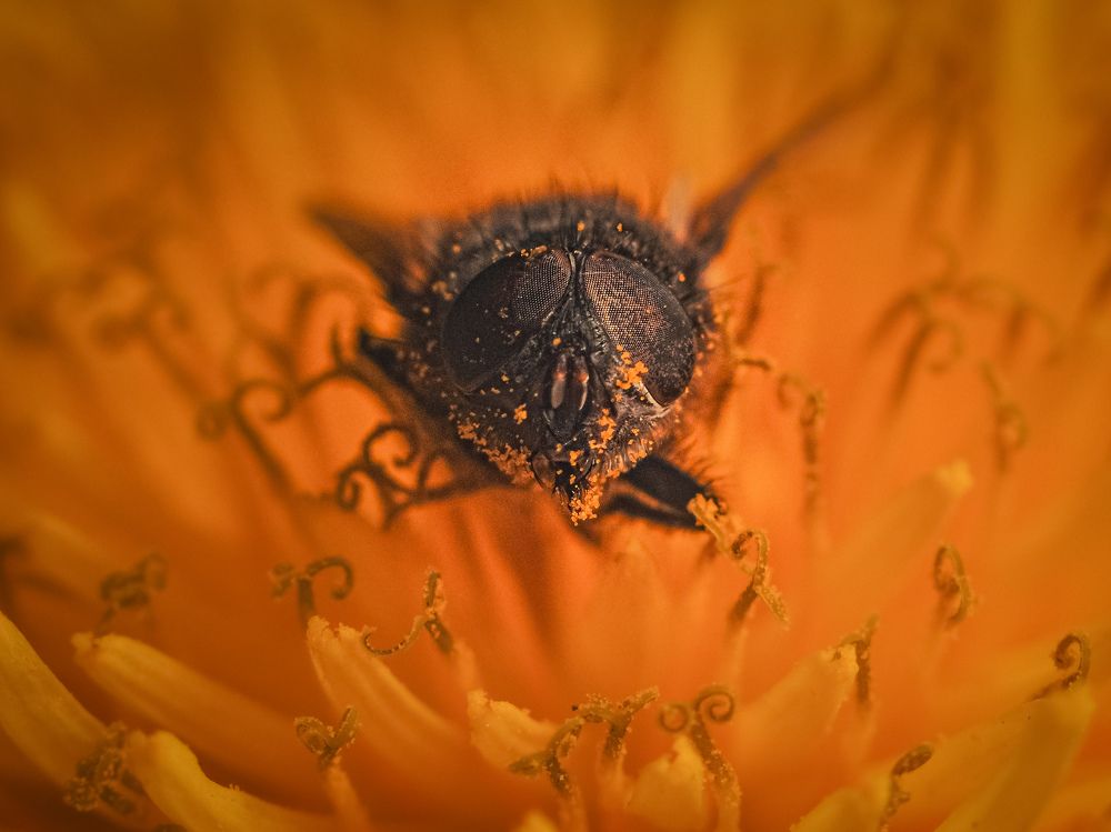 Photograph by Ольга Еженевская