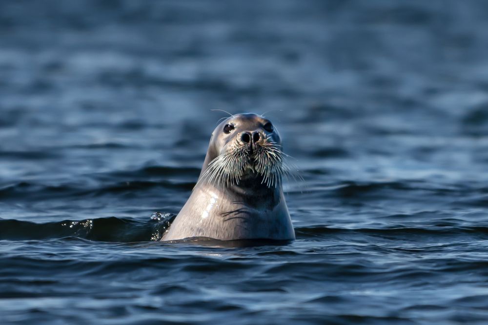 Photograph by Ирина Ульянова