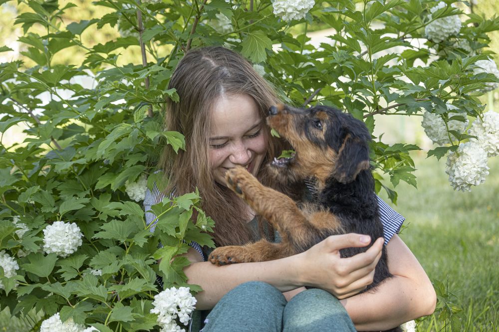 Крокодильчик.