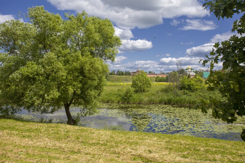 Photograph by Сергей Старостин