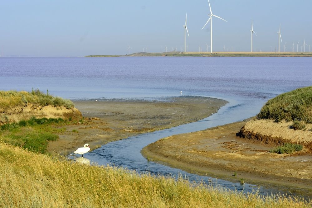 Photograph by Ольга