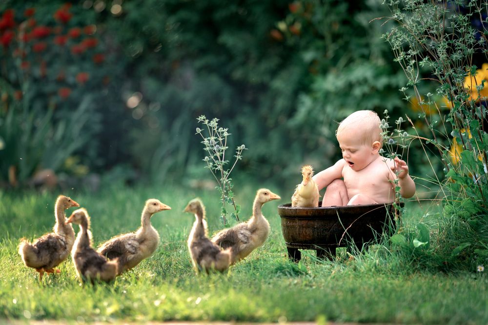 Фотография автора Светлана Новожилова