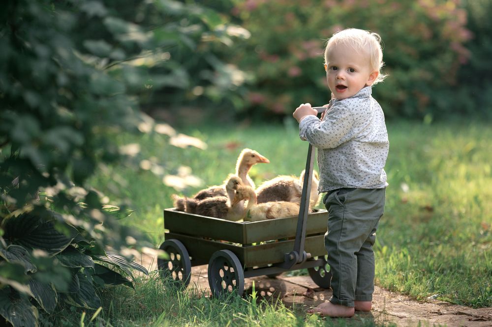 Фотография автора Светлана Новожилова