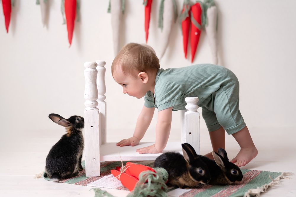 Фотография автора Светлана Новожилова