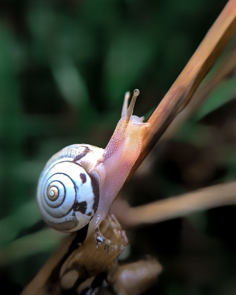 Photograph by Светлана Смирнова