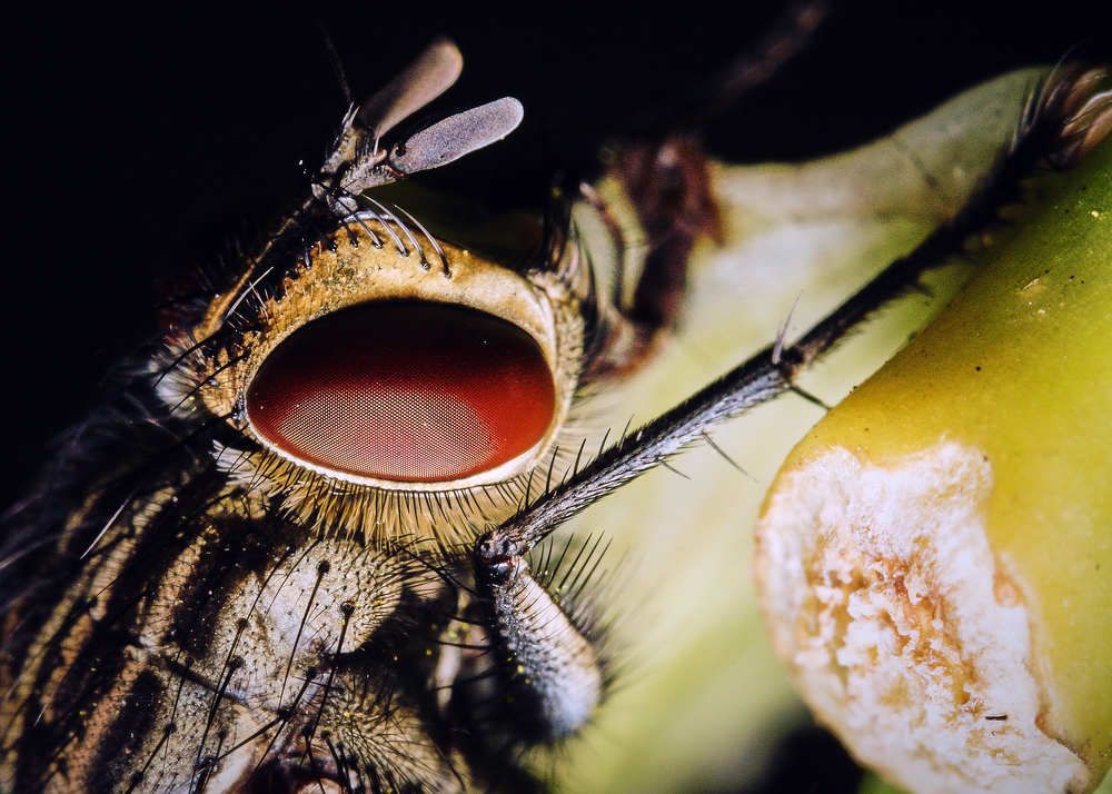 Photograph by Виктор Ноговицин