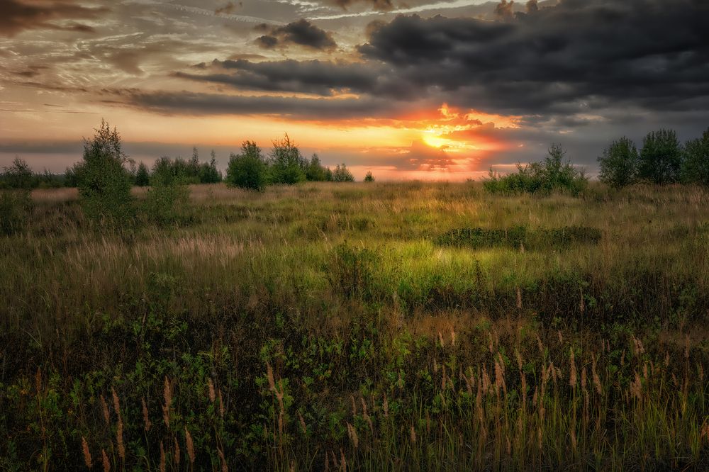 Повеяло осенью