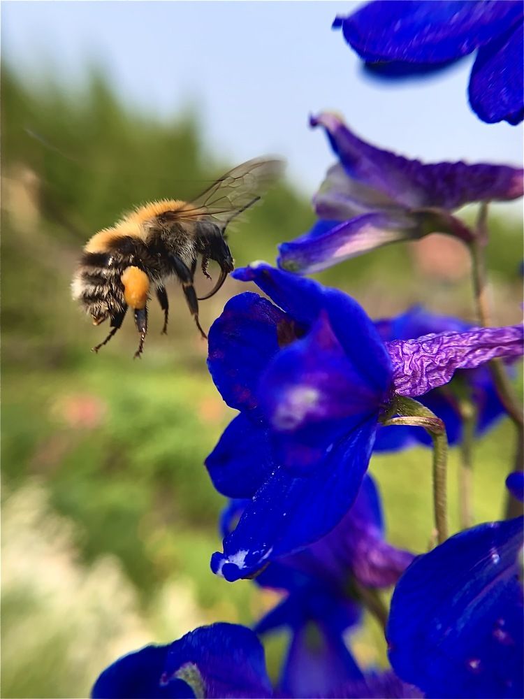 Photograph by Екатерина