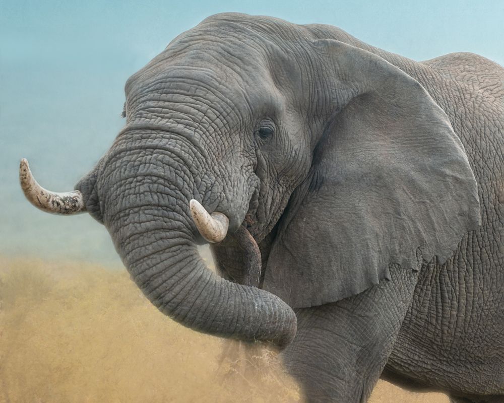 Photograph by Geri Uauy