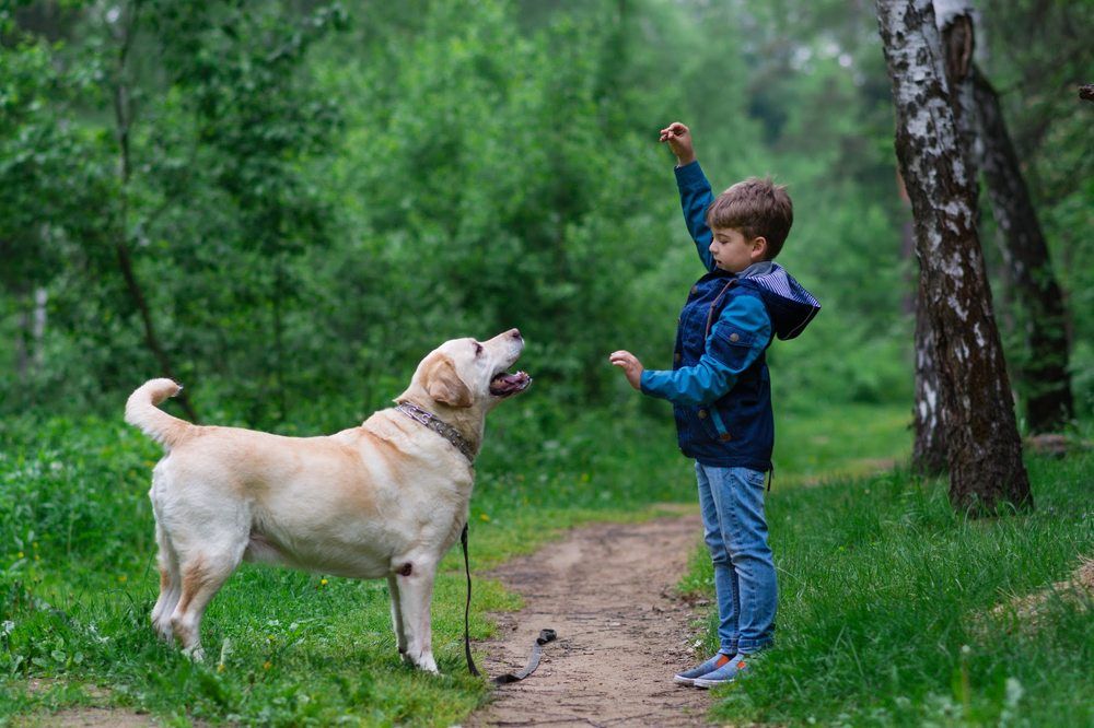 Photograph by Юлия Ефимова