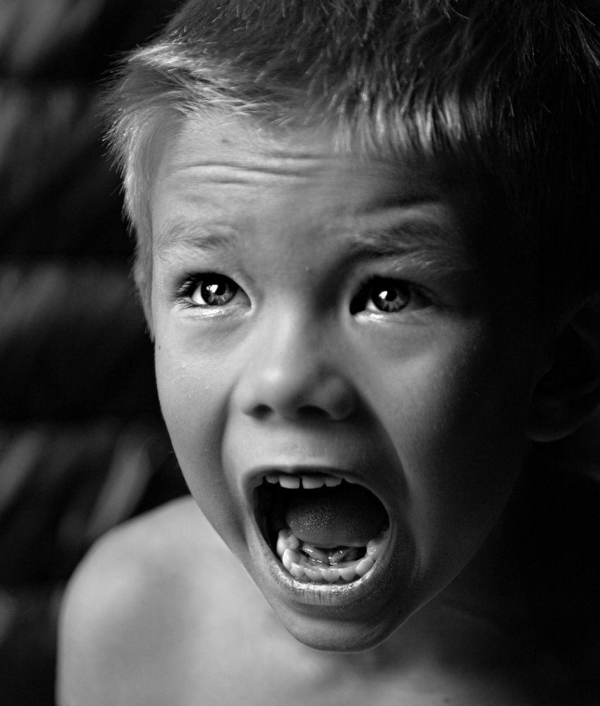 Фотография автора Екатерина Конькова