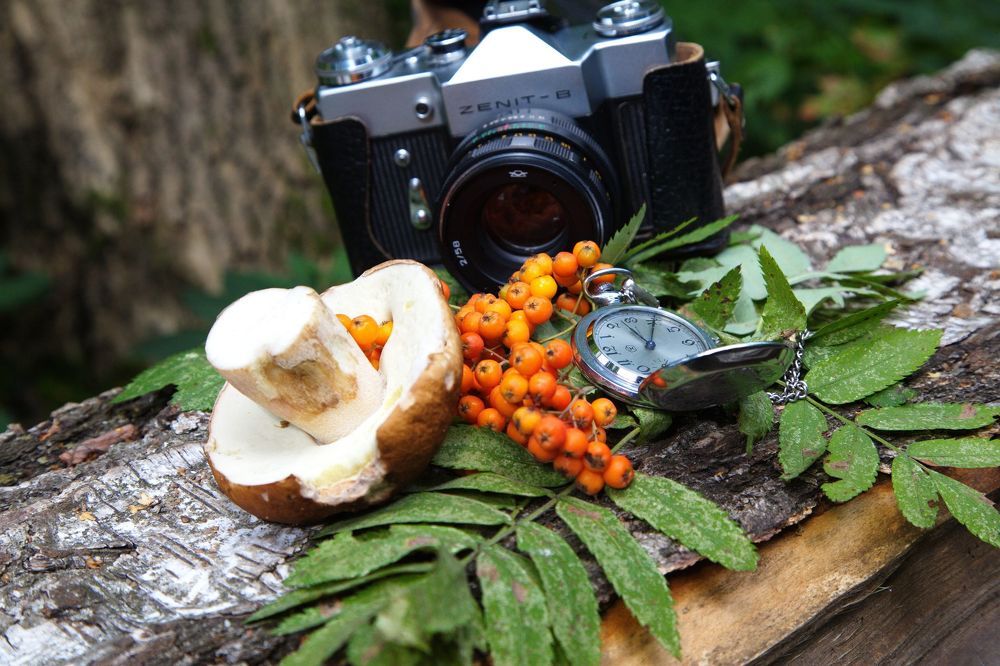 Photograph by Анатолий Протасов