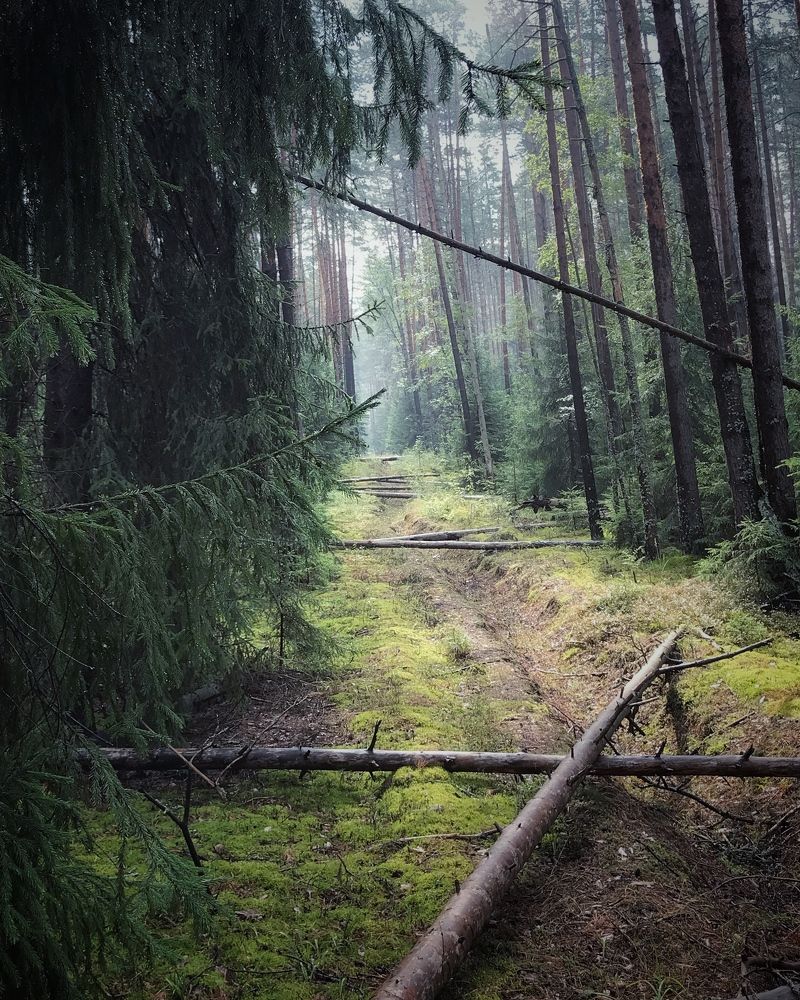 Photograph by Алексей Бобылев