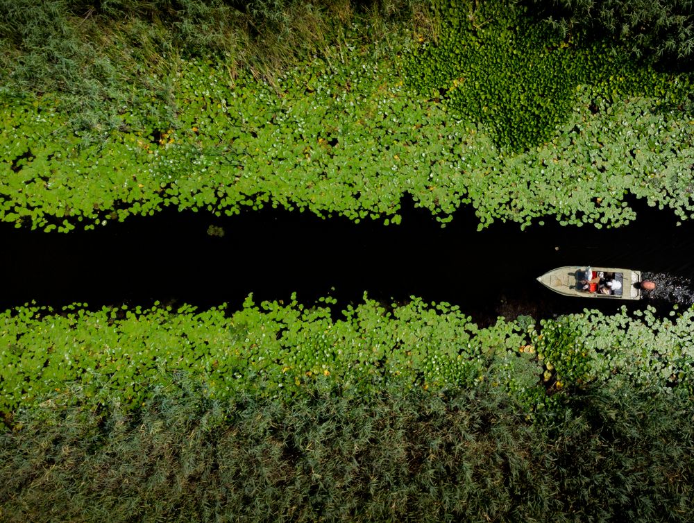 Photograph by Никита Санфиров
