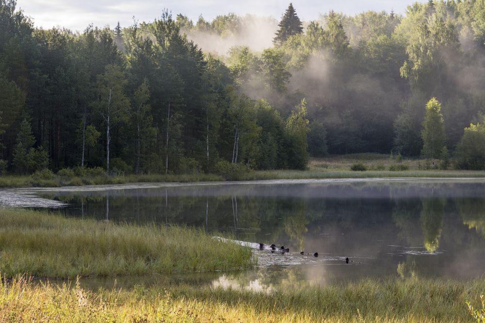 Photograph by Волоцков Александр