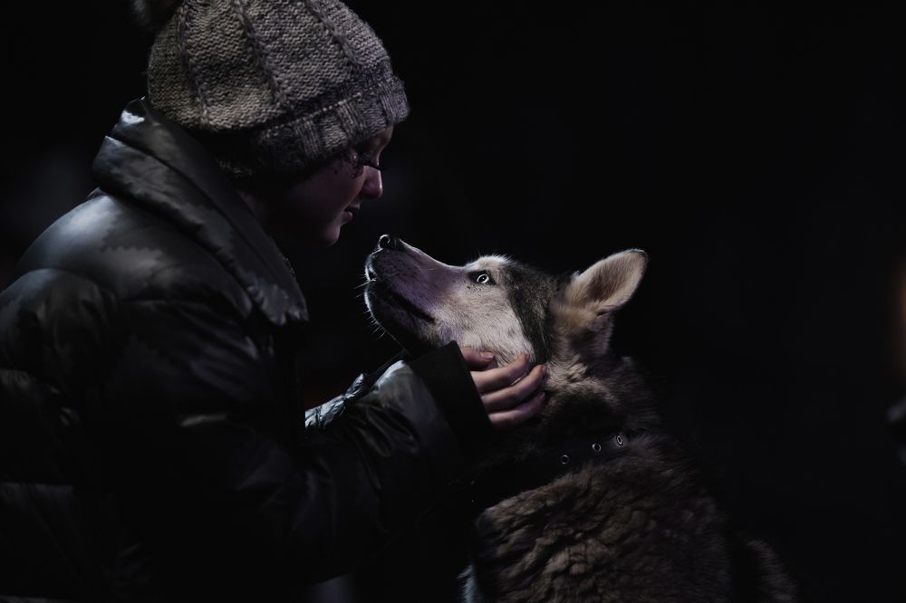 Фотография автора Георгий Шамков
