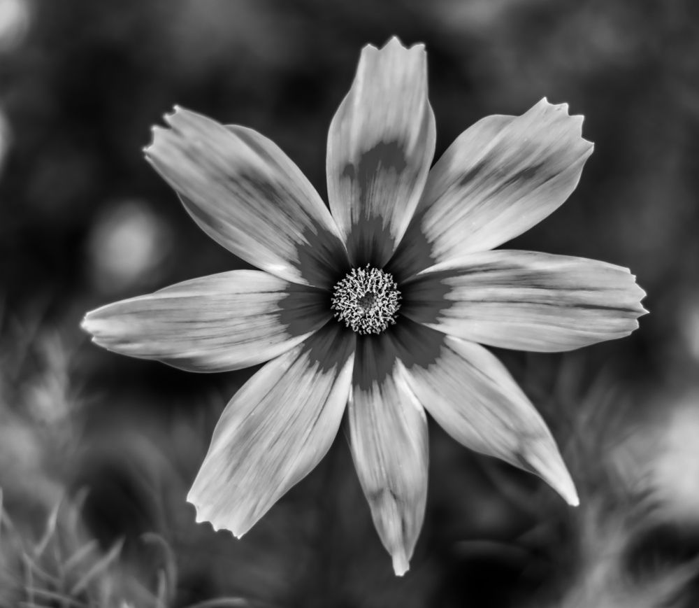 После дождя!