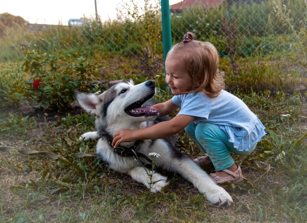 Photograph by Лев Постнов