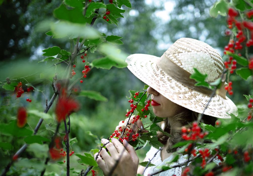 Photograph by Ирина