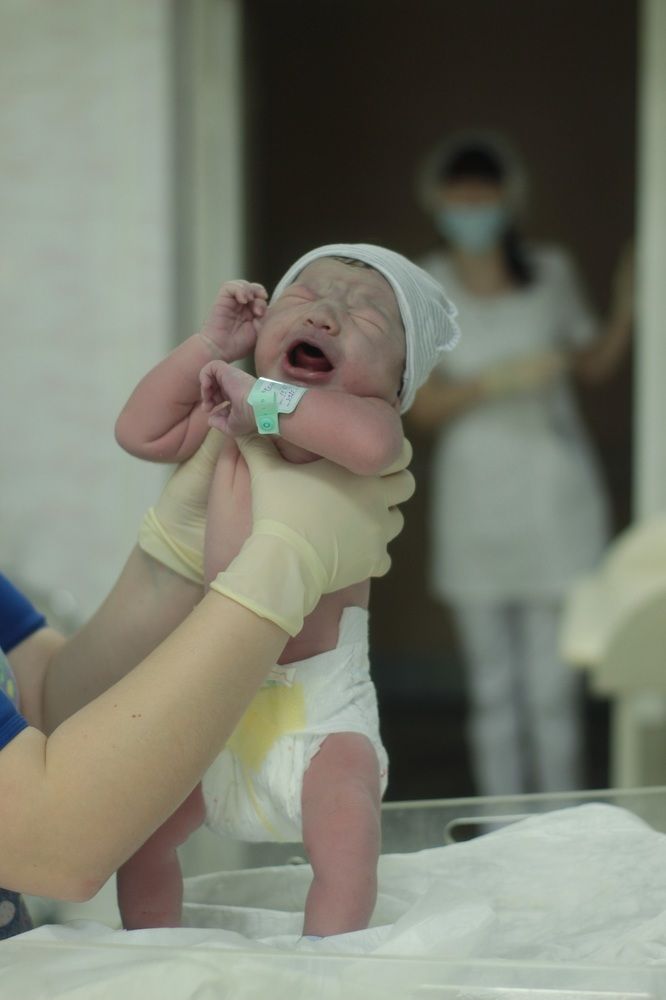 Photograph by Ерохина Светлана Юрьевна