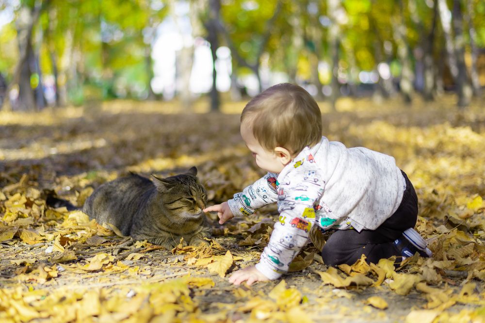 Photograph by Максим Леонтьев