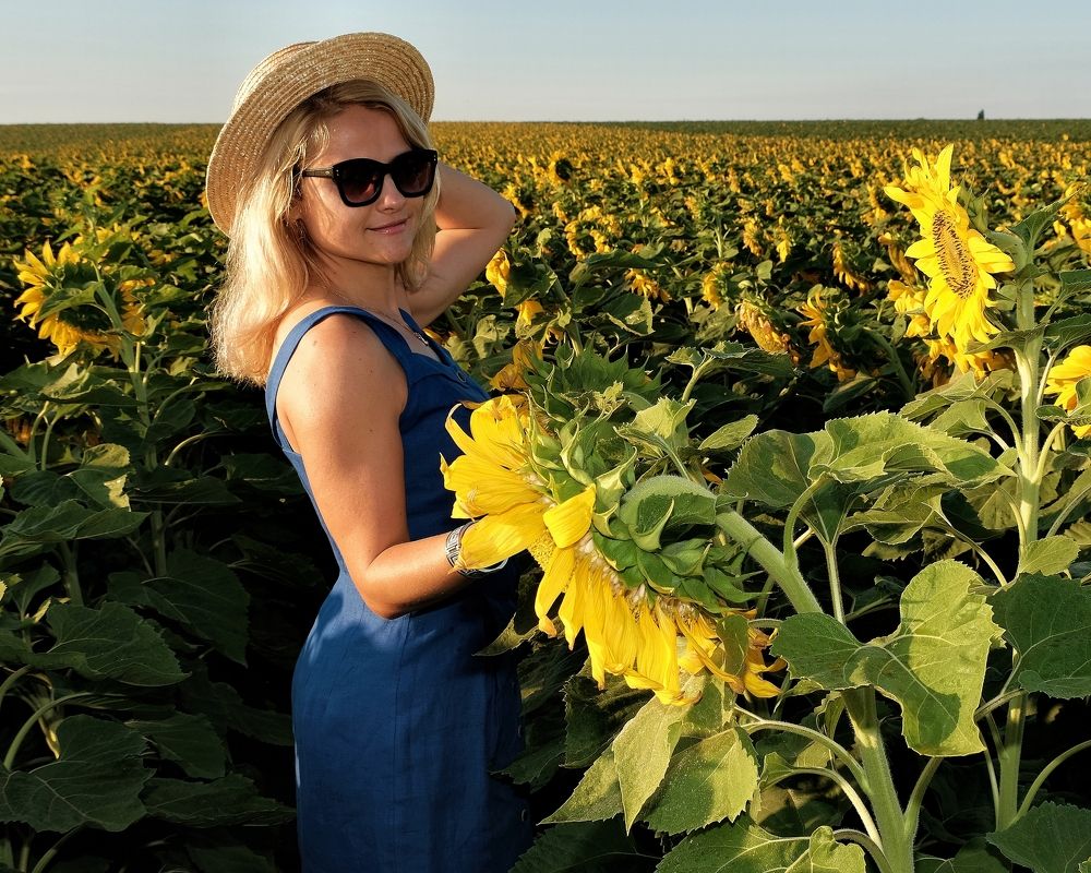 Фотография автора Dmitry