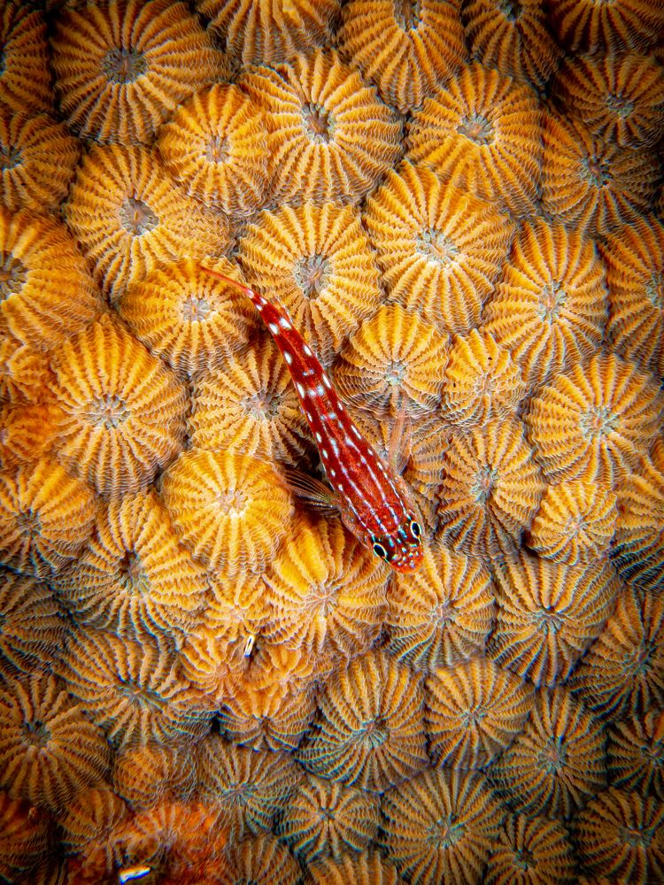 Отдых на вулканах