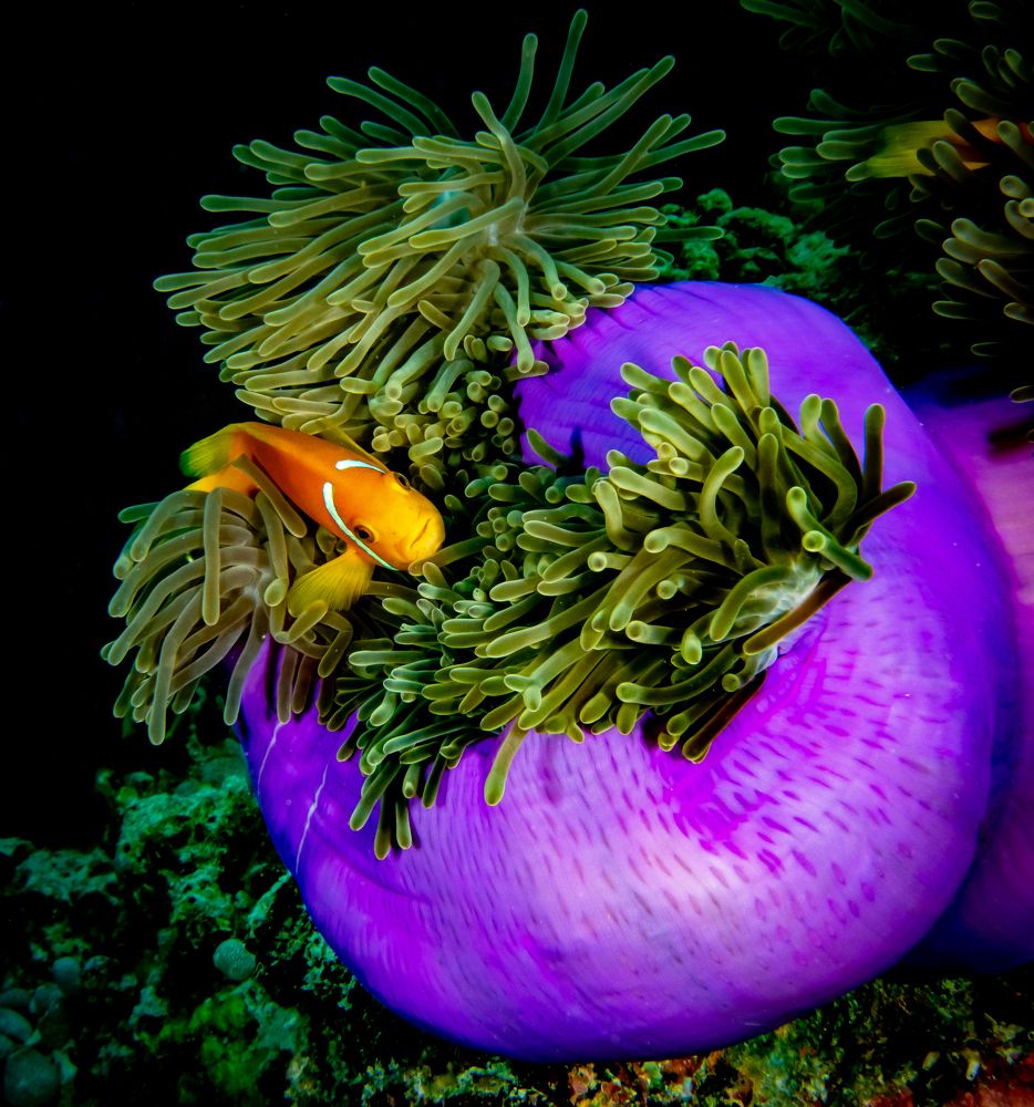 Когда дом и уютный и красивый