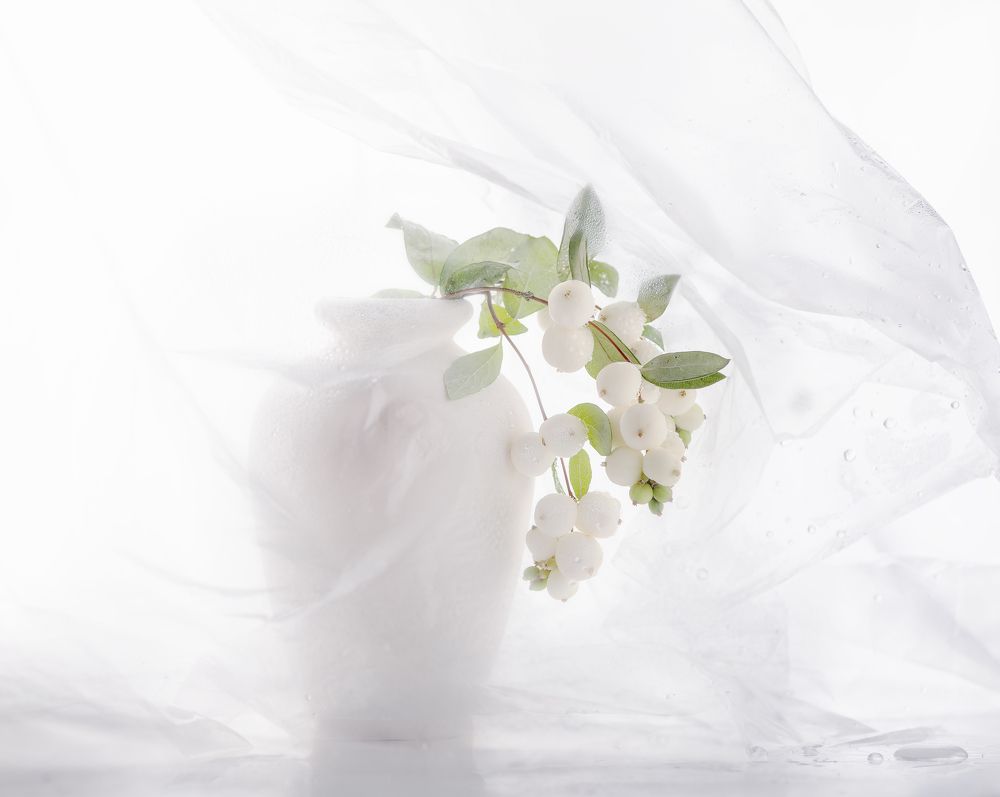 Photograph by Татьяна Слёзкина