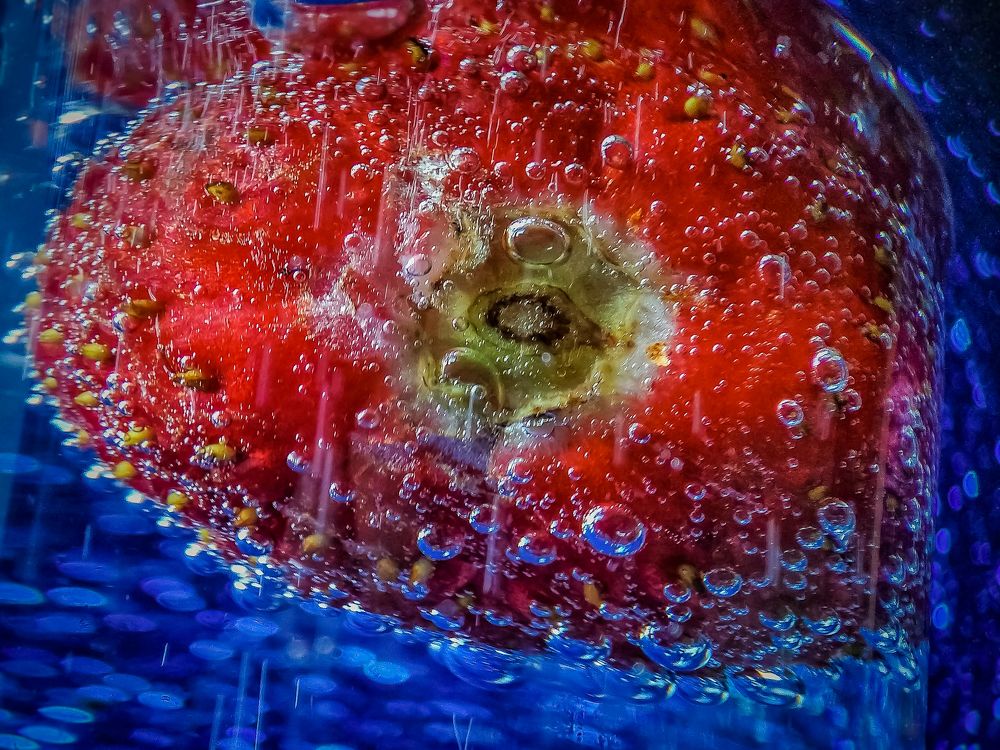 Photograph by Алексей Копылов