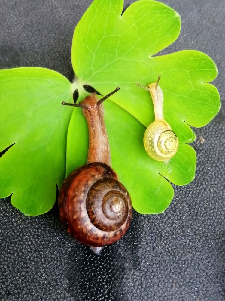 Photograph by Светлана Веселовская