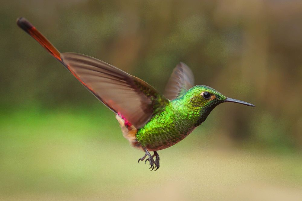 Photograph by Karina Elena Bergagna