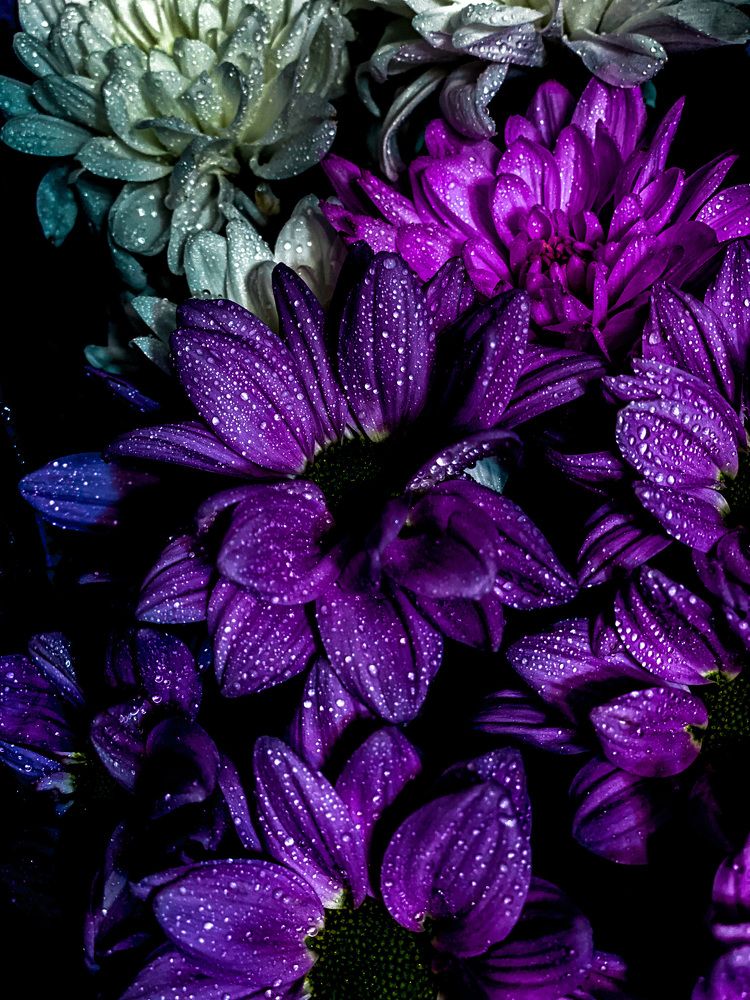 Photograph by Мария Каммерт