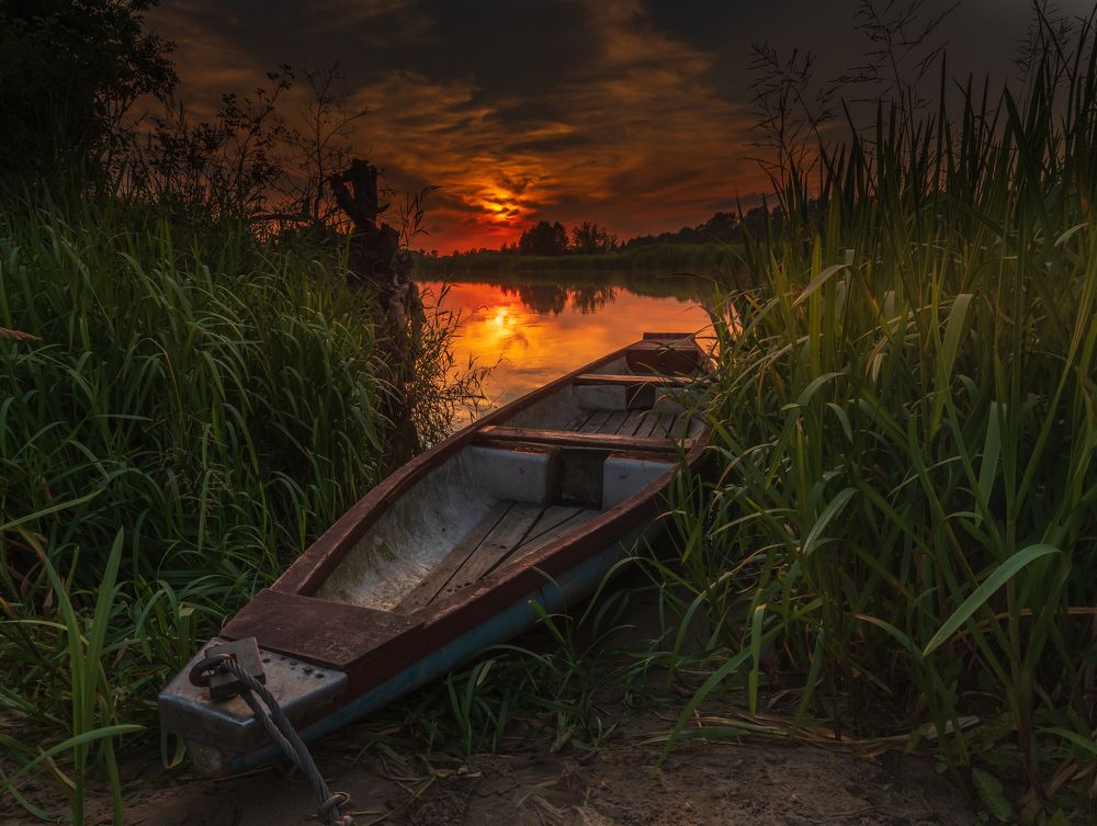 Photograph by Dariusz Budyta