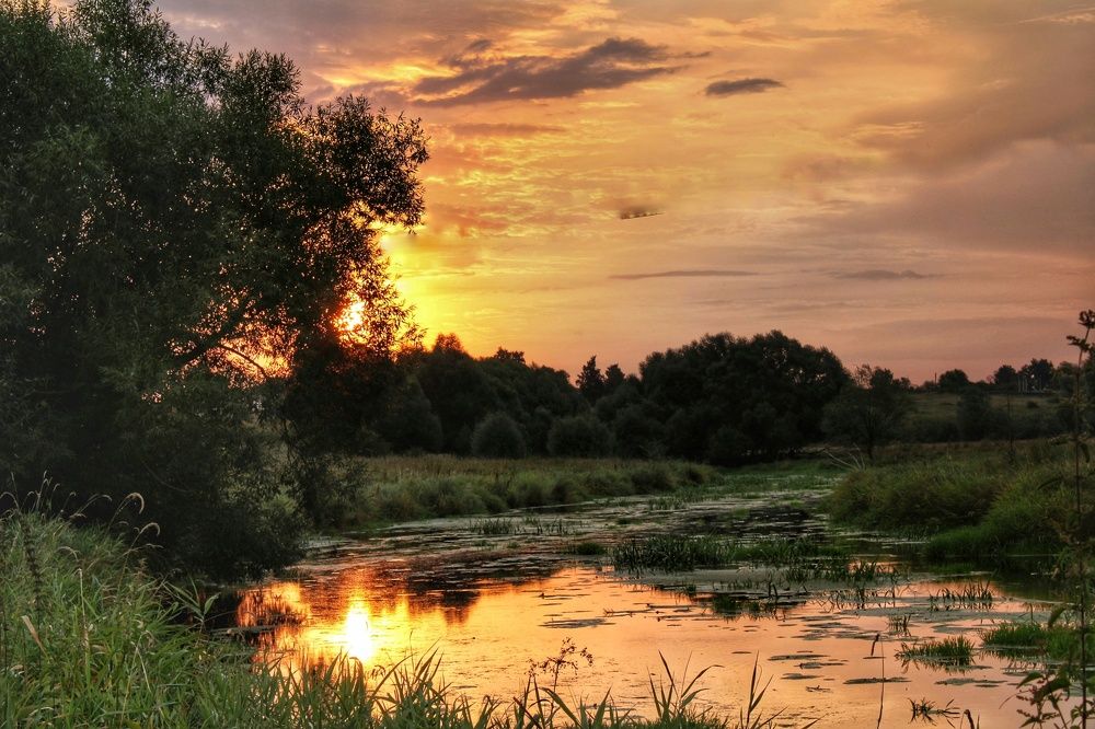 Солнечные костры