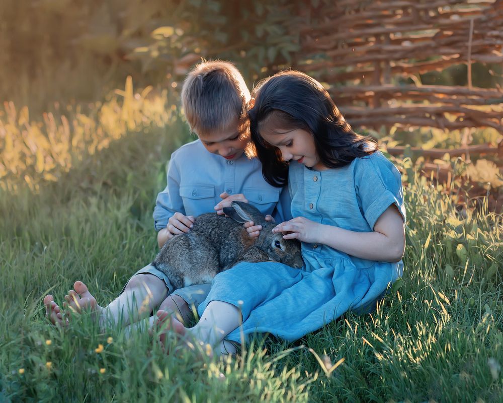 Photograph by Полотенко Екатерина