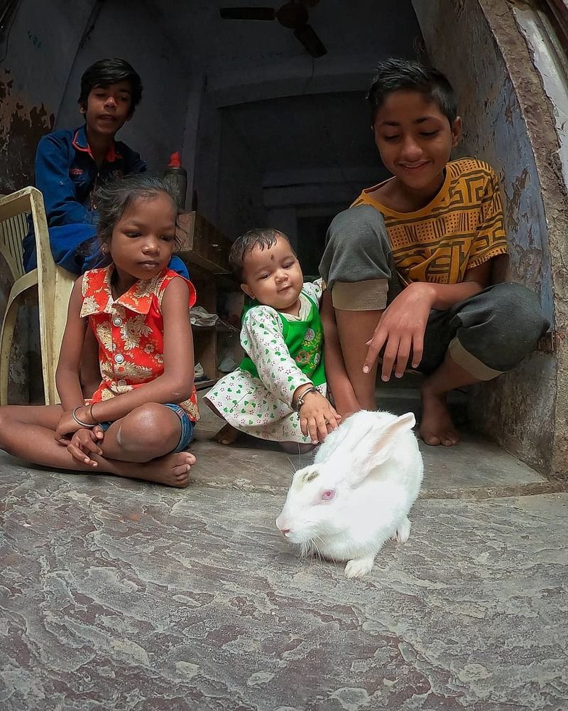 Photograph by Chinmay Joshi